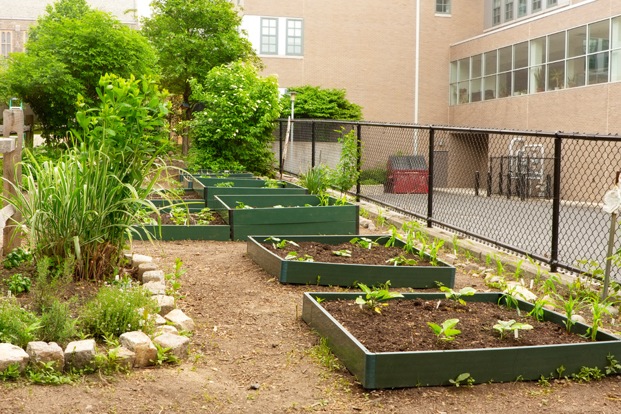 Raised flower beds in a school garden